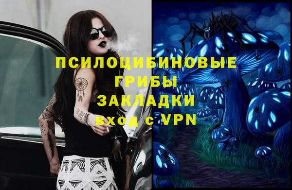 кокс Алексеевка
