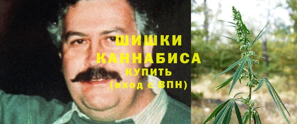 спайс Алексин