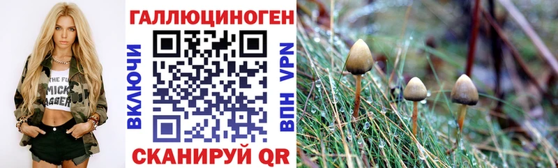 Псилоцибиновые грибы мицелий  Анжеро-Судженск 